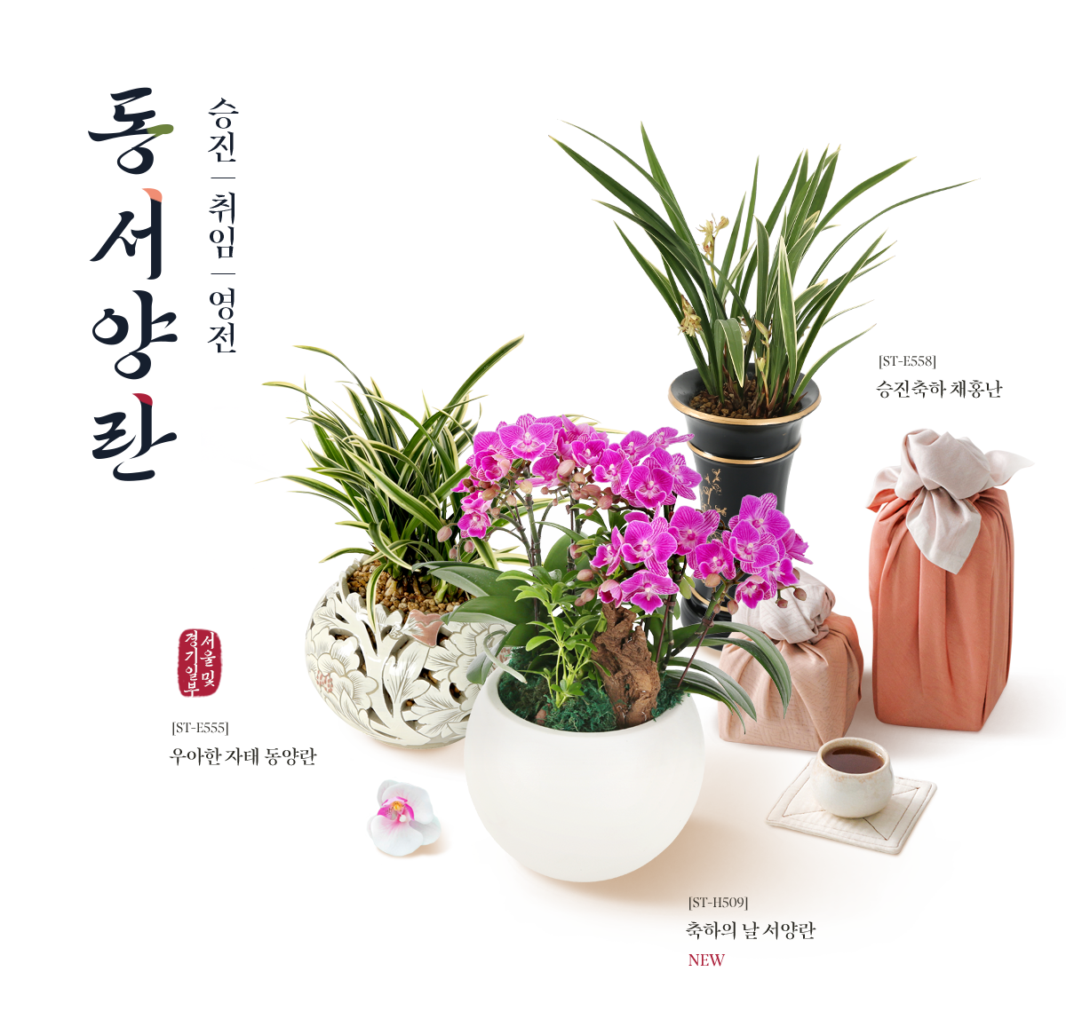 2025 ��������