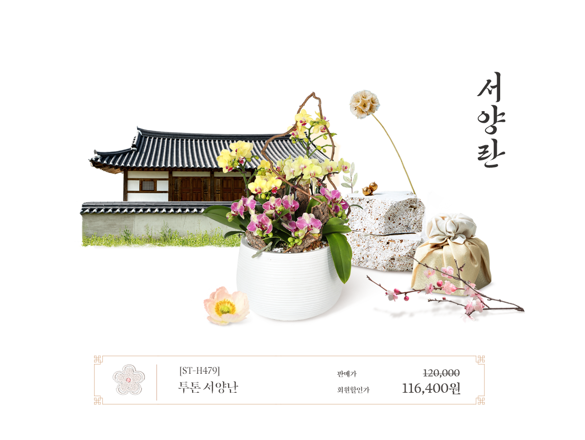 2025 ��������