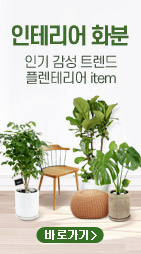 �ö����Ƽ ��ȹ��