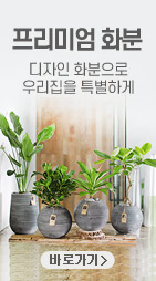 �ö����Ƽ ��ȹ��