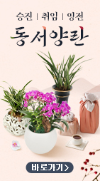 �ö����Ƽ ��ȹ��